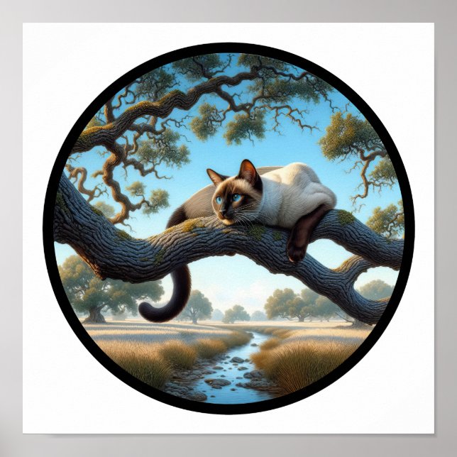 Poster Imagem 3D circular de um gato siamês bonito (Frente)