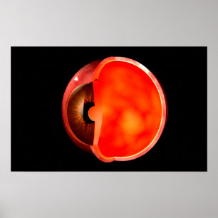 Poster Imagem Conceitual Da Cruz De Olhos Humanos Seção 1