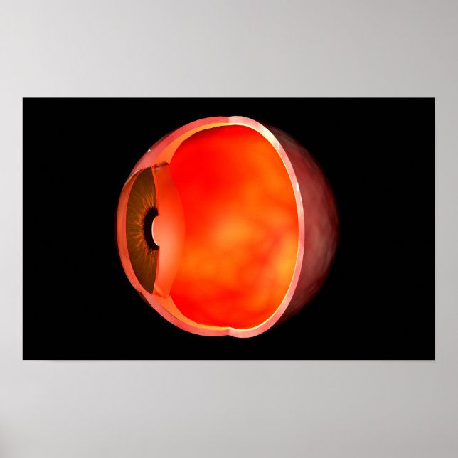 Póster Imagem Conceitual Da Cruz De Olhos Humanos Seção 2 (Frente)
