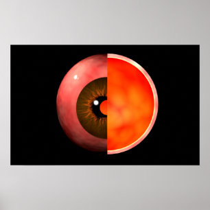 Poster Imagem Conceitual Da Cruz De Olhos Humanos Seção 3