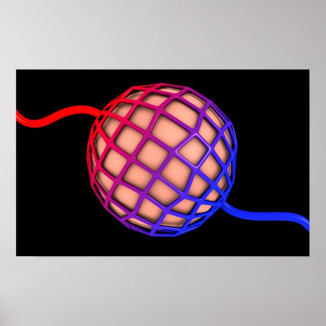 Póster Imagem Conceitual De Alveolus (Frente)