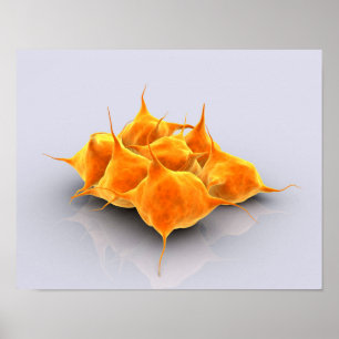 Póster Imagem Conceitual De Um Grupo De Plaquetas