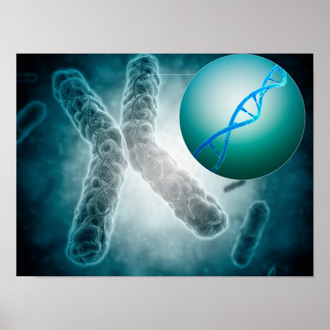 Poster Imagem Conceitual De Um Telômero Mostrando DNA (Frente)