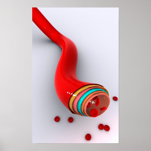 Poster Imagem Conceitual De Um Vaso Sanguíneo (Frente)