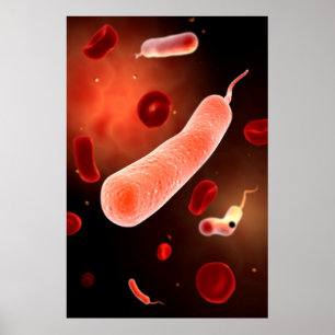 Póster Imagem Conceitual De Vibrio Cholerae 2