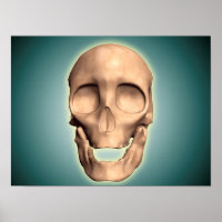 Imagem Conceitual Do Crânio Humano, Vista Frontal