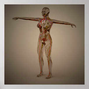 Póster Imagem Conceitual Do Sistema Nervoso Humano 2