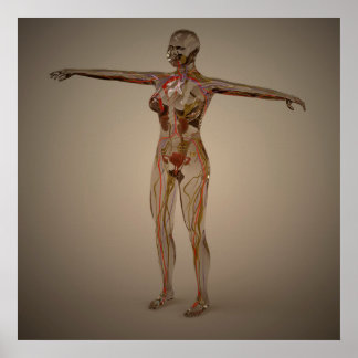 Póster Imagem Conceitual Do Sistema Nervoso Humano 2