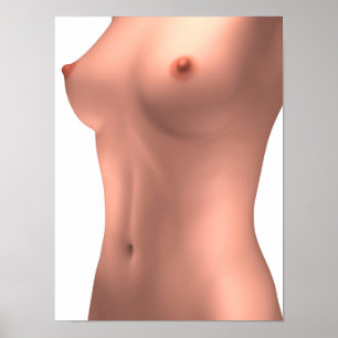 Póster Imagem Conceitual Do Torso Feminino