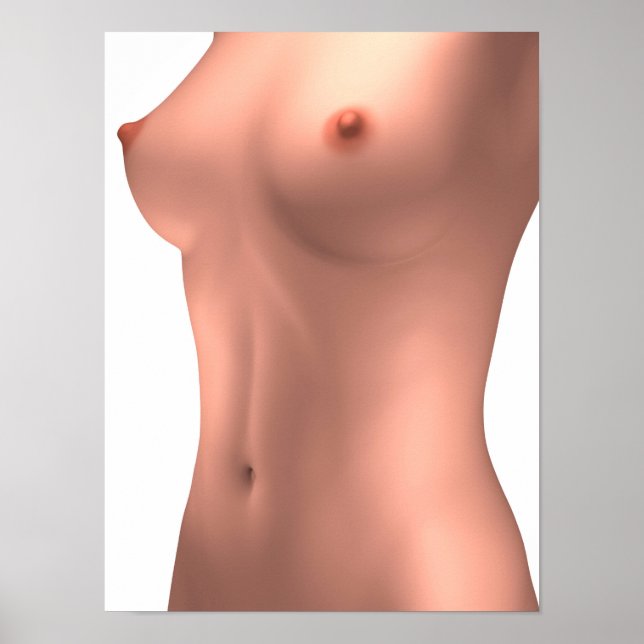 Póster Imagem Conceitual Do Torso Feminino (Frente)