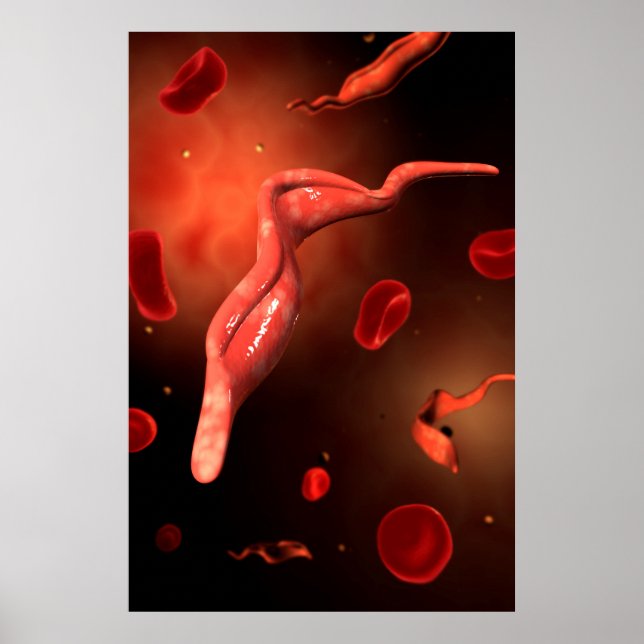 Póster Imagem Conceitual Do Trypanosoma 1 (Frente)
