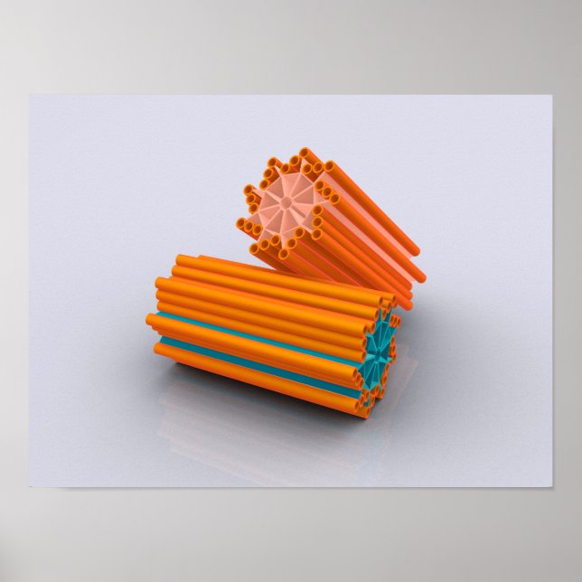 Póster Imagem Conceitual Dos Centrioles 2 (Frente)