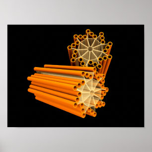 Póster Imagem conceptual das centrioles 1
