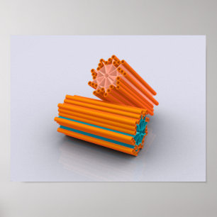Póster Imagem conceptual das centrioles 2