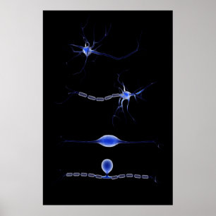 Póster Imagem conceptual de um neurônio 1
