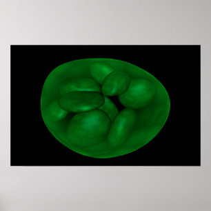 Póster Imagem conceptual do cloroplastos 2