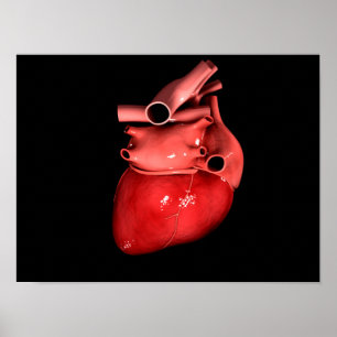 Poster Imagem conceptual do coração humano 3