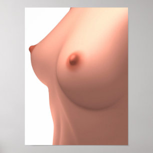 Póster Imagem conceptual do peito fêmea