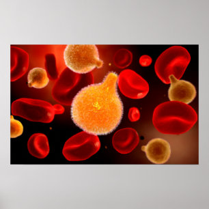 Póster Imagem conceptual do Plasmodium que causa a