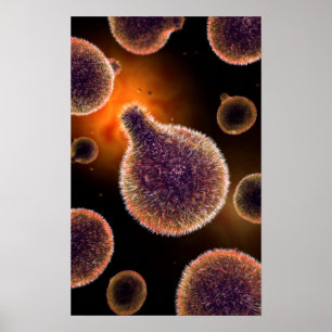 Póster Imagem conceptual do Plasmodium que causa a