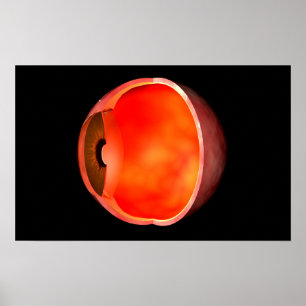 Póster Imagem conceptual do secção transversal 2 do olh