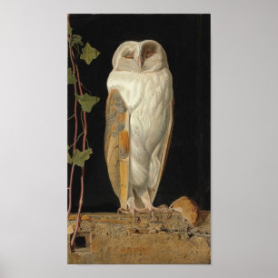 Poster Imagem da coruja do vintage