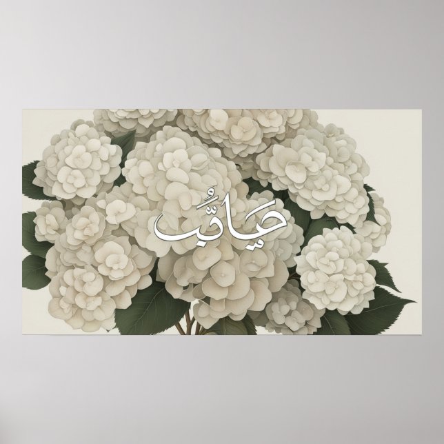 Poster Imagem da TV islâmica (Frente)