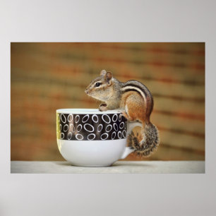 Póster Imagem de Chipmunk com Taça de Café Latte