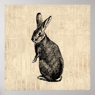 Poster Imagem de Coelho Antiquado com Arte Coelho com Scr