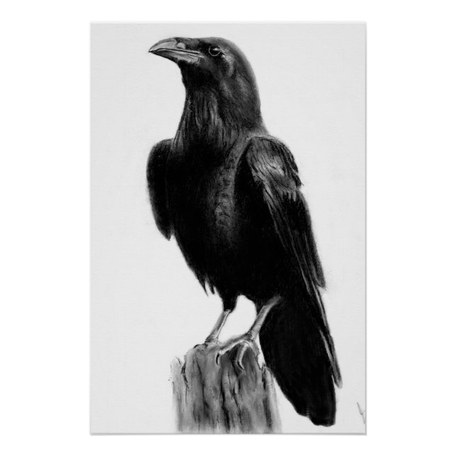 Póster Imagem de corvo   (Frente)
