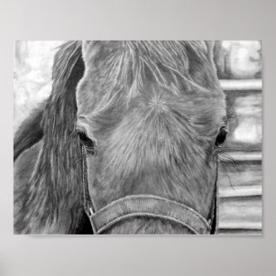 Poster Imagem de rodeio