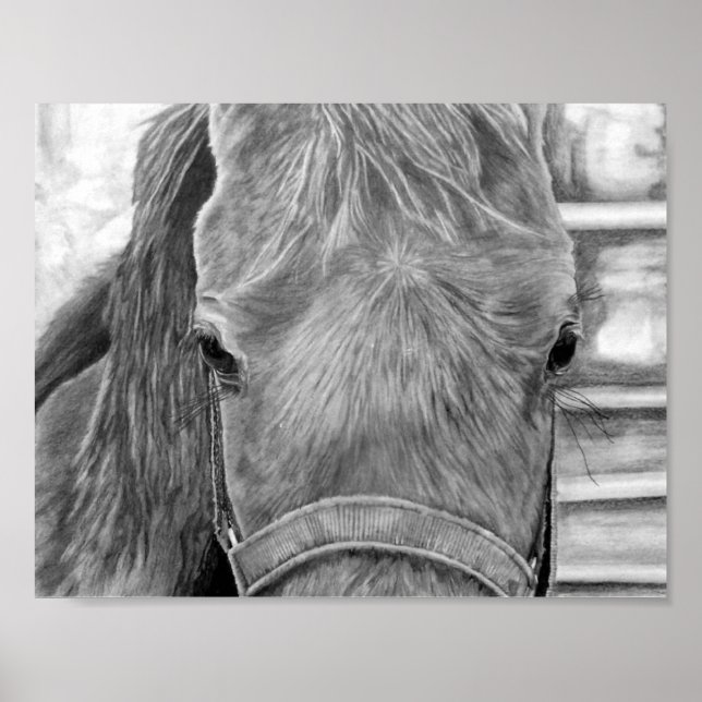 Poster Imagem de rodeio (Frente)