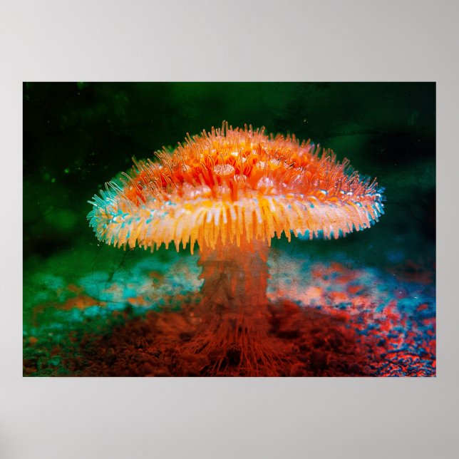 Poster Imagem de um Cogumelo Selvagem na Parede do Fundo  (Frente)