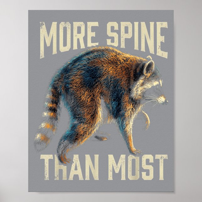 Poster Imagem do Jimothy O Mapache (Frente)