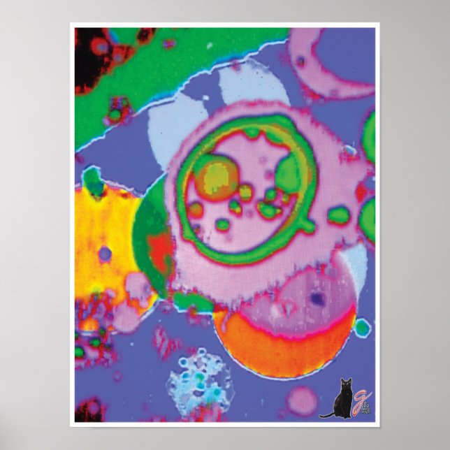 Póster Imagem do Juicey KC (Frente)