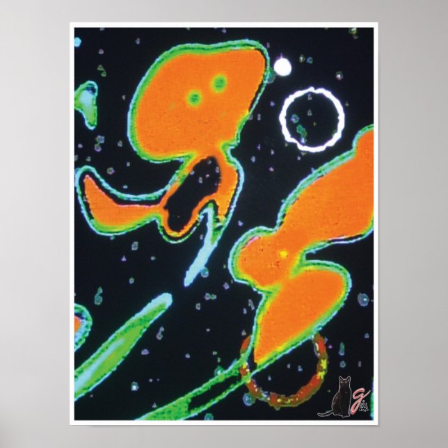 Póster Imagem do Punkin KC (Frente)