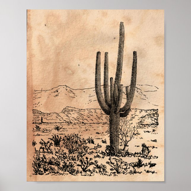 Poster Imagem do Vintage Desert Cactus Tea StainPaper (Frente)