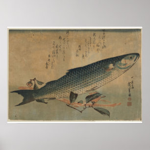Poster Imagem do vintage do salmonete listrado japonês -