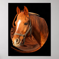 Imagem Gráfica de Cavalo Anidente - Cavaleiro Cava
