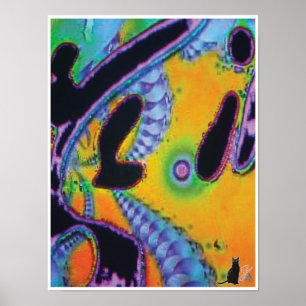 Poster Imagem KC de Fracking