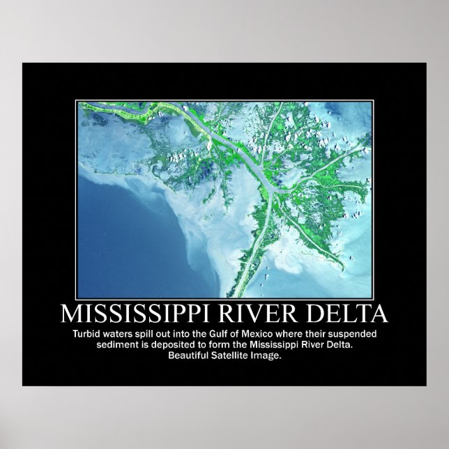 Póster Imagem por Satélite do Delta do Rio Mississippi (Frente)