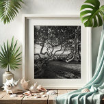 Poster Imagens de Praia Branca e Preta de Uvas do Mar<br><div class="desc">Melhore seu espaço com a beleza tranquila de Júpiter Beach, na Flórida, capturada nesta impressionante arte de muro por Victoria Grigaliunas. Esta poster de fotografia a preto e branco mostra os detalhes intrincados da uva-do-mar, trazendo um toque de elegância costeira para a decoração da sua casa. Perfeito tanto para amantes...</div>