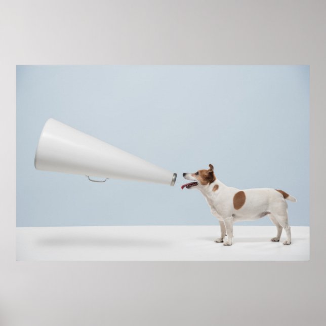 Poster Imagens Getty | Cachorro Falante (Frente)