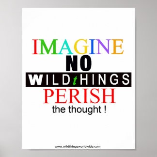 Poster Imagine -