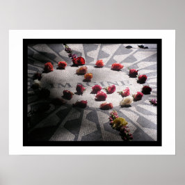 Póster Imagine o Parque Central do Mosaico