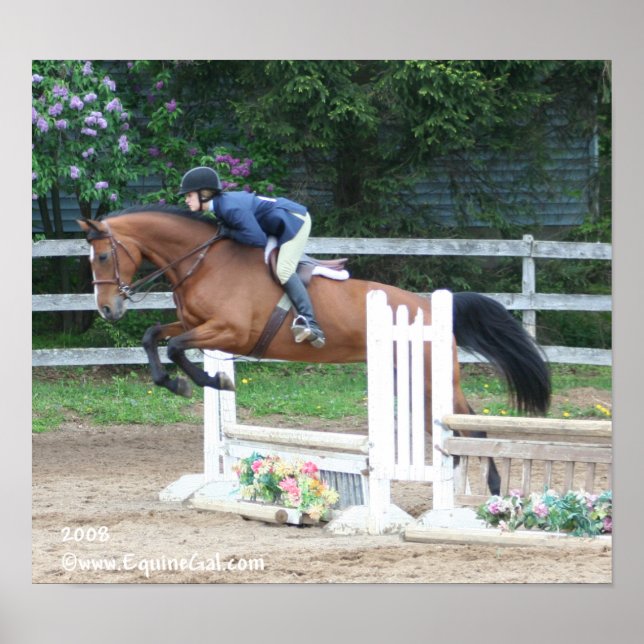 Poster Img-1160 (Frente)