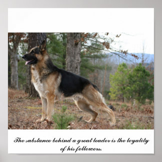 Poster IMG_3539, A substância por trás de um líder de exc