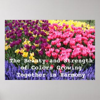 Poster IMG_5044, A Beleza e a Força das Cores Gro...