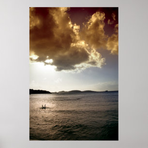 Póster Immersão de Inversão