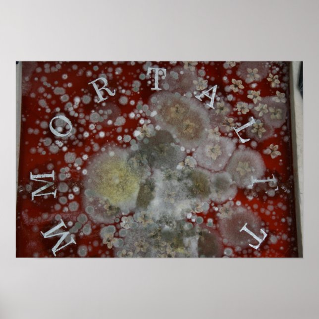 Póster Imortalidade (Frente)